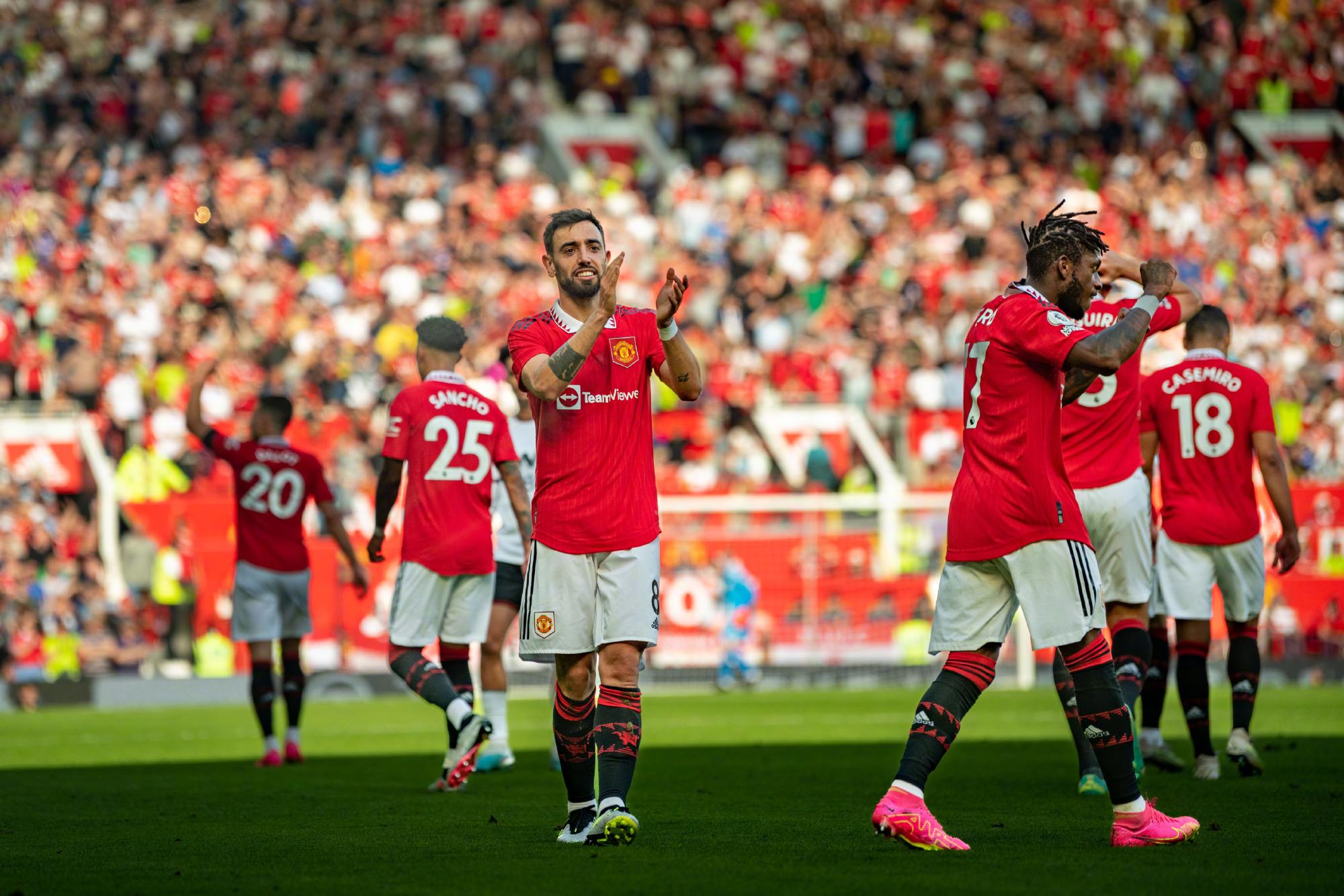 各类信息的 各类信息的